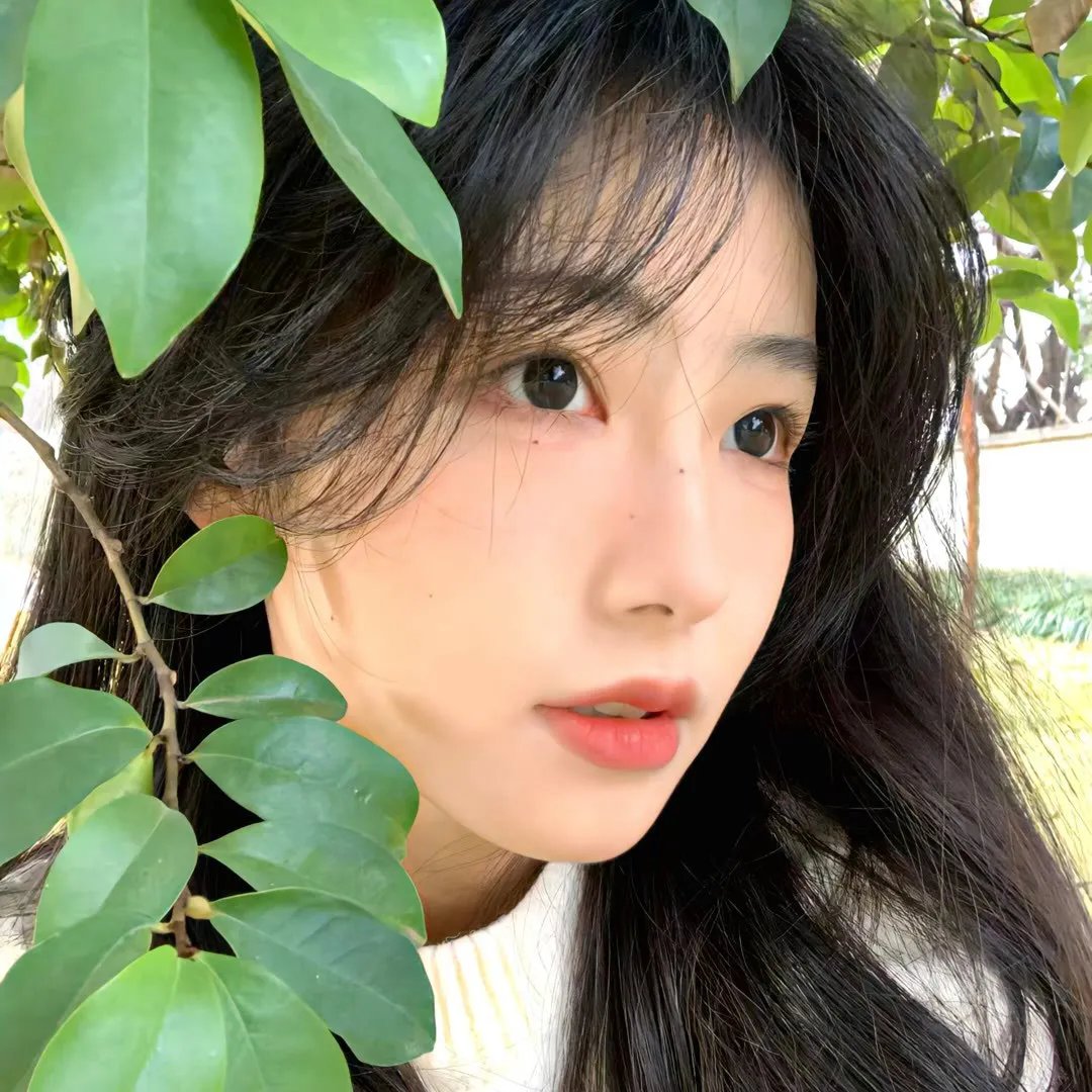 手握团宠剧本，七小姐又美又飒