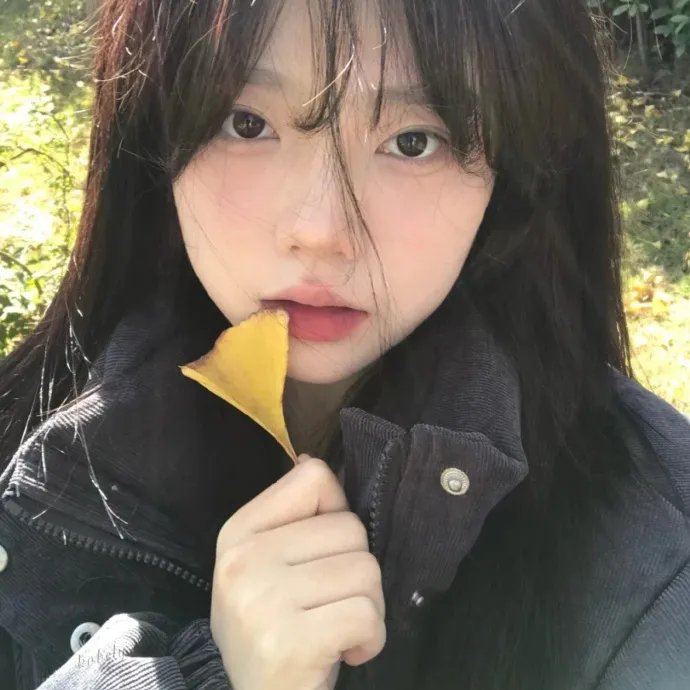 洋葱电影 封面